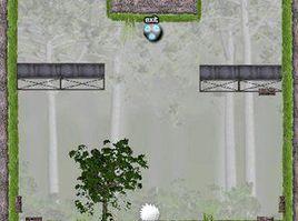 白色小毛球 白色小毛球