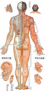 中醫針灸穴點陣圖