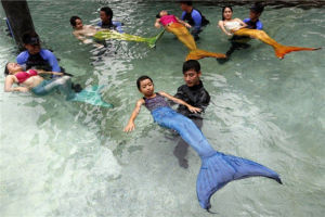 美人魚游泳課 美人魚游泳課