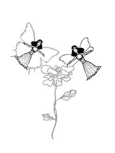 招蜂引蝶 招蜂引蝶