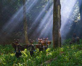 九龍山[雲南省廣南縣九龍山]