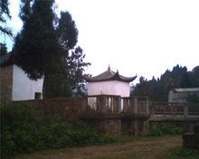 毛杉樹歌節舞台