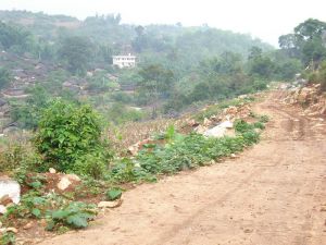 勐棚箐自然村 勐棚箐自然村