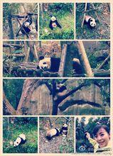 周雪梅[CCTV-4《遠方的家》出鏡記者]