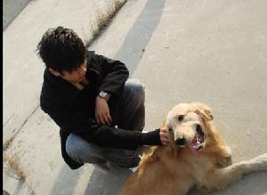 《傑出的流年》