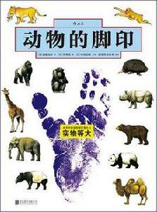 動物的腳印 動物的腳印