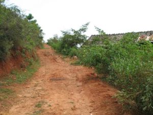 石婆坡自然村 石婆坡自然村