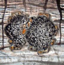 花落無言（國畫）作者：路中漢