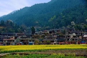 他布依村 他布依村