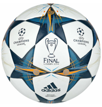 2013/2014賽季歐冠決賽