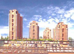 大慶柏林春天 大慶柏林春天