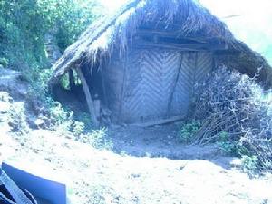 王地自然村發展重點-茅草房改造