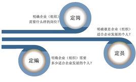 定崗定編 定崗定編