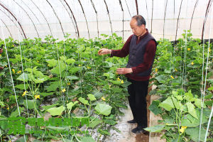 前宜安村 前宜安村