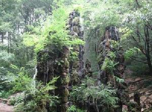 韭山國家森林公園