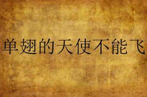 單翅的天使不能飛 單翅的天使不能飛