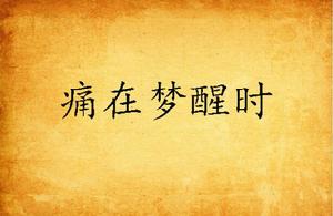 痛在夢醒時 痛在夢醒時