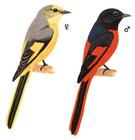 長尾山椒鳥指名亞種