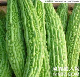 苦瓜食譜 苦瓜食譜