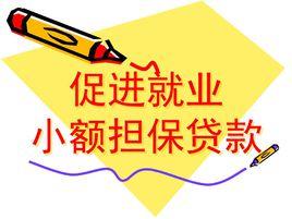 小額擔保貸款 小額擔保貸款