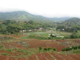 上黃村[廣東省樂昌市白石鎮上黃村]