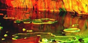 納靈河谷 納靈河谷