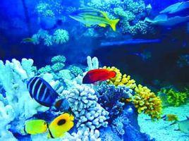 合肥極地海洋世界