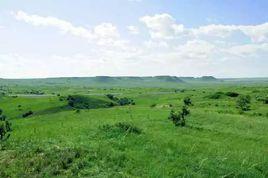 內蒙古錫林浩特草原火山地質公園 內蒙古錫林浩特草原火山地質公園
