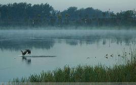 成武八景 成武八景