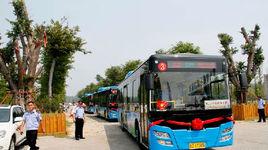 滕州公交 滕州公交