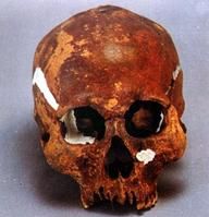 扎賚諾爾人頭骨化石 扎賚諾爾人頭骨化石