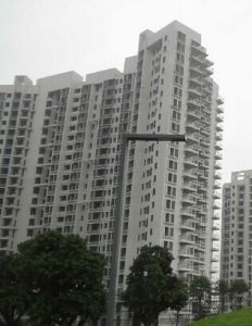 自由人花園 自由人花園