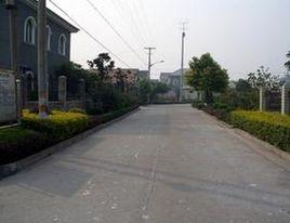 聯興村[廣東省台山市水步鎮聯興村]