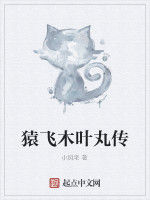 猿飛木葉丸傳 猿飛木葉丸傳