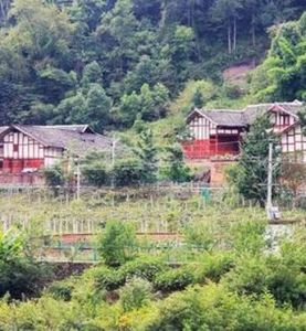 大竹茂村 大竹茂村