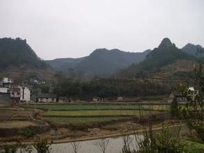 張新場村 張新場村