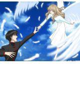 暗夜帝王的天使