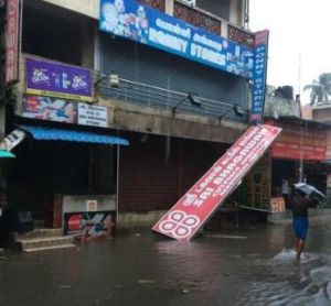 颶風瓦達 颶風瓦達