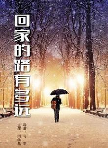 回家的路有多遠[2017年習辛執導電視劇]