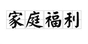 家庭福利 家庭福利