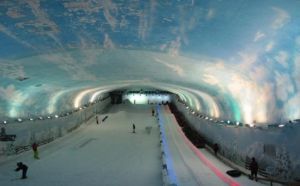 阿爾卑斯山滑雪場 阿爾卑斯山滑雪場