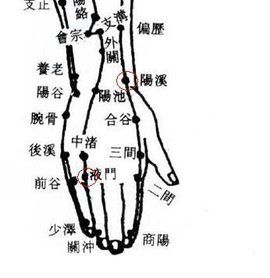 腕骨穴 腕骨穴