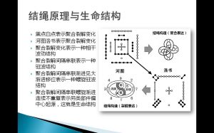 生命結構論 生命結構論