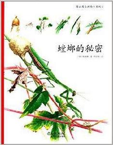 蒲公英自然繪本系列:螳螂的秘密 蒲公英自然繪本系列:螳螂的秘密