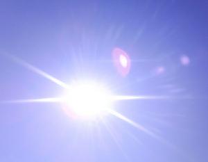 （圖）陽光下找