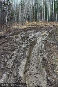遠洋粘土 遠洋粘土