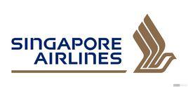 新加坡航空公司