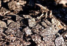 黃氏狀元糕 黃氏狀元糕