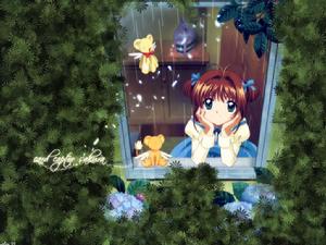 《百變小櫻魔術卡》