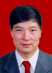 鄧衛民[廣東省應急管理廳巡視員]